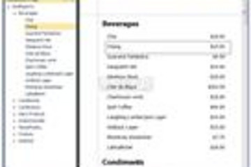 DevExpress Silverlight Controls预览：